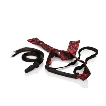 Scandal pony play kit - Complete BDSM set
