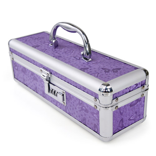 Lockable sex toy case - storage container discontinued