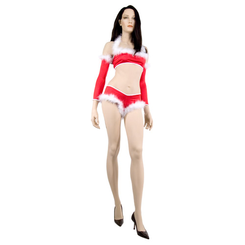 Mrs. Claus - costume discontinued