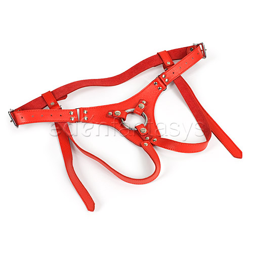 Jolly rider - adjustable double strap harness discontinued