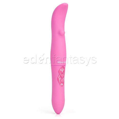 Companion - sex toy
