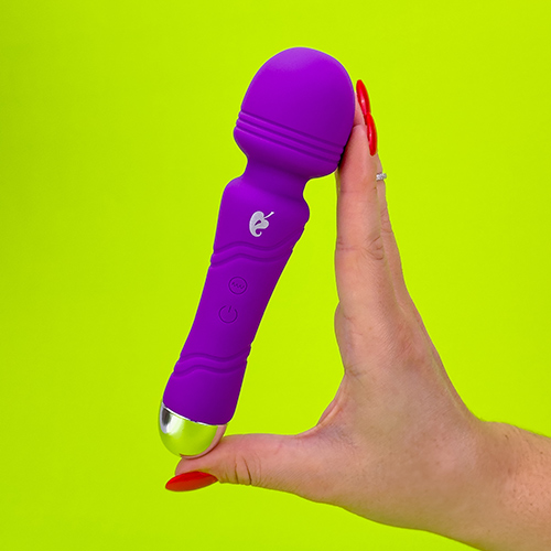 Le petite wand - massager