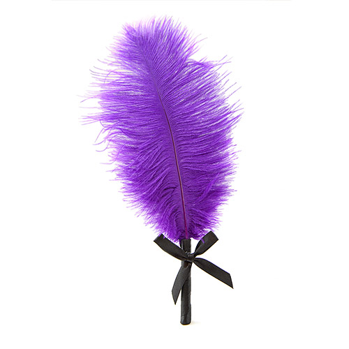 Sensual feather - bdsm tickler