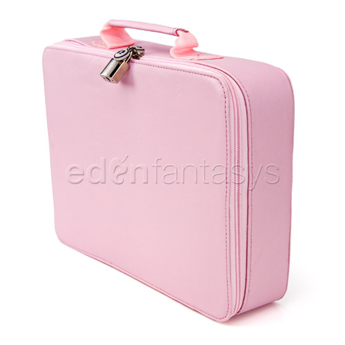 For your nymphomation sex toy case - storage container discontinued