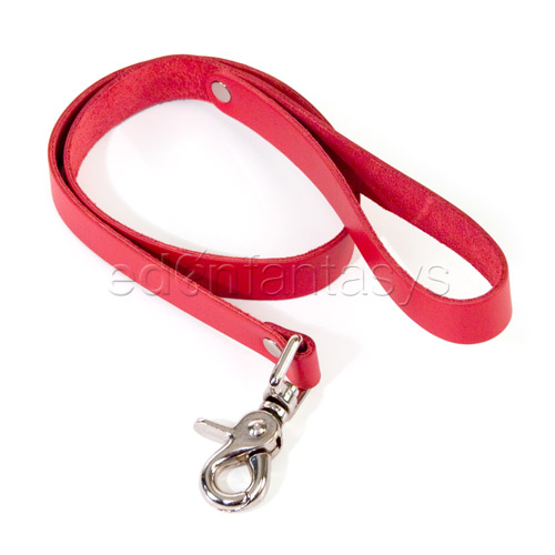 Bound leash - leash discontinued