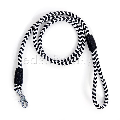 Bad boy leash - leash discontinued