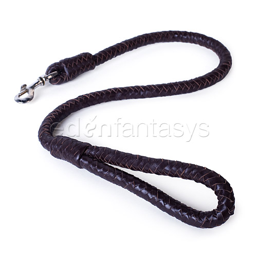 Bad boy leash - leash discontinued