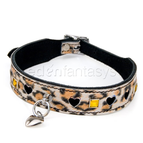 Leopard bling collar - collar 