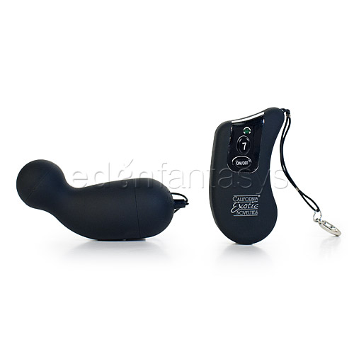 Waterproof 7-Function Remote G - bullet discontinued