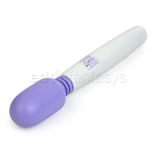 My Mini-Miracle massager wand - vibrating head massager discontinued