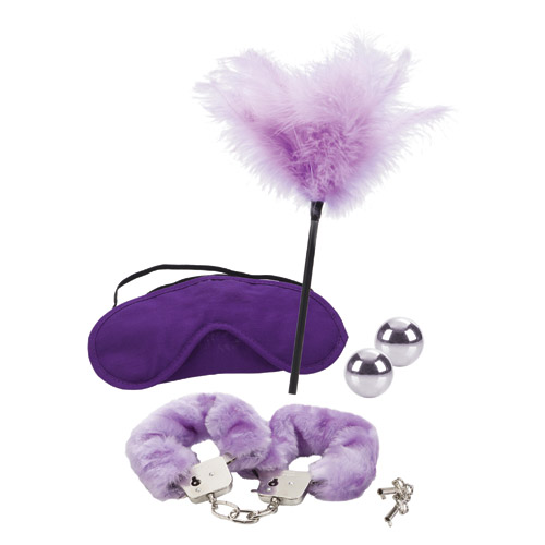 Dr. Laura Berman's shades of purple playroom kit - bdsm kit discontinued