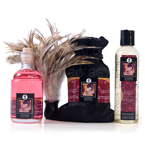 Shunga tenderness and passion collection - sensual kit discontinued