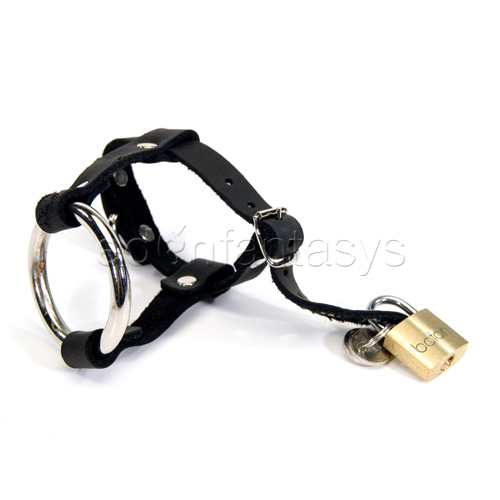 Locking cock & ball harness - cock and balls device discontinued