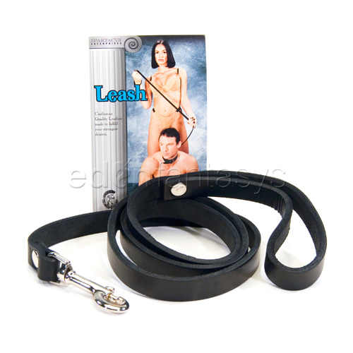 Leather leash - leash discontinued