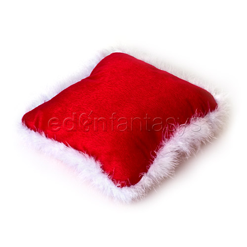 Holiday hide a gift pillow - storage container discontinued