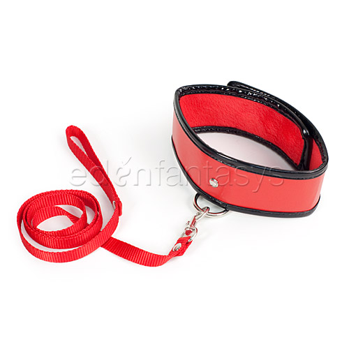 Sex and Mischief leash and collar - collar 