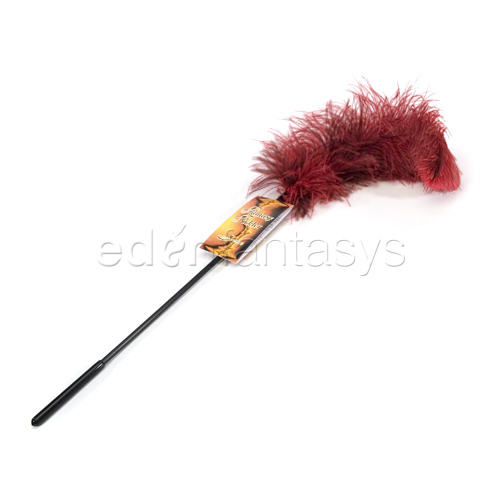 Ostrich feather - tickler